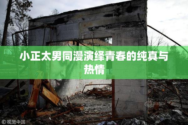 小正太男同漫演绎青春的纯真与热情