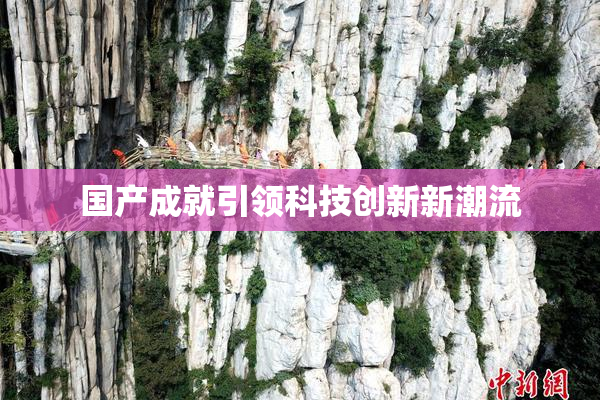 国产成就引领科技创新新潮流