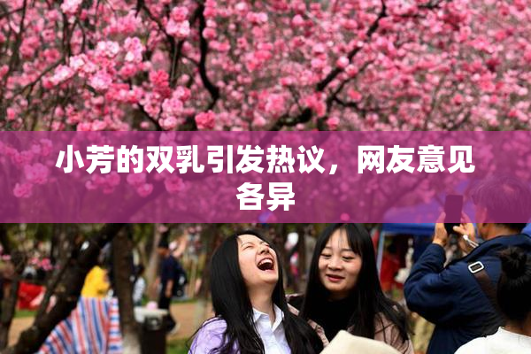小芳的双乳引发热议，网友意见各异