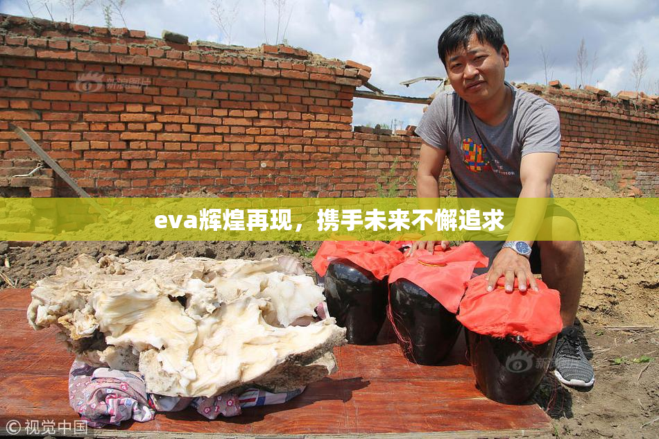 eva辉煌再现，携手未来不懈追求