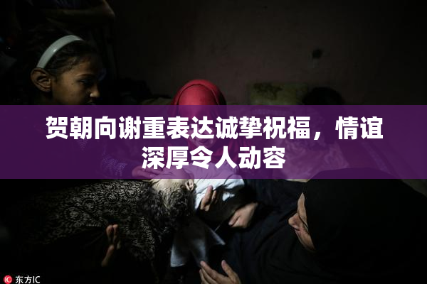 贺朝向谢重表达诚挚祝福，情谊深厚令人动容