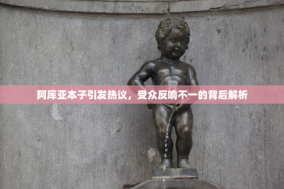 阿库亚本子引发热议，受众反响不一的背后解析