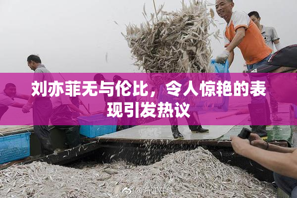 刘亦菲无与伦比，令人惊艳的表现引发热议