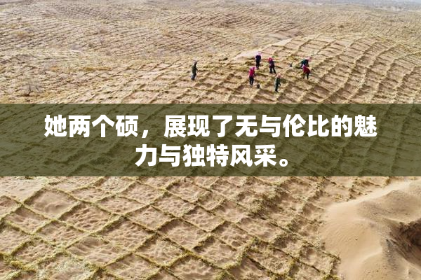 她两个硕，展现了无与伦比的魅力与独特风采。
