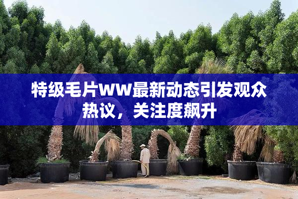 特级毛片WW最新动态引发观众热议，关注度飙升
