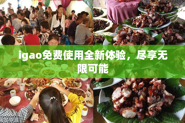 igao免费使用全新体验，尽享无限可能