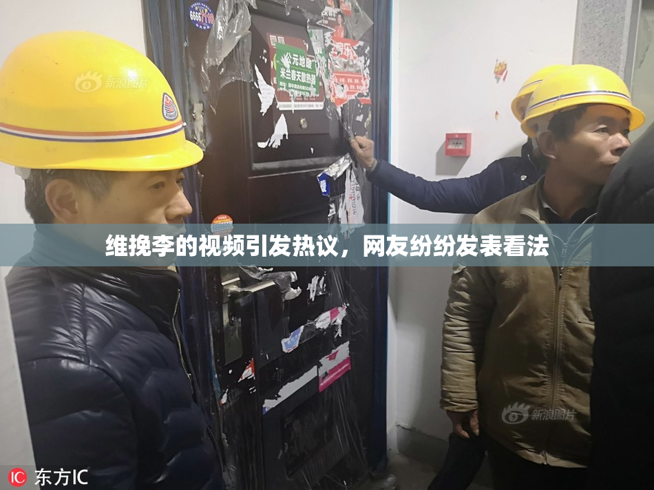 维挽李的视频引发热议，网友纷纷发表看法