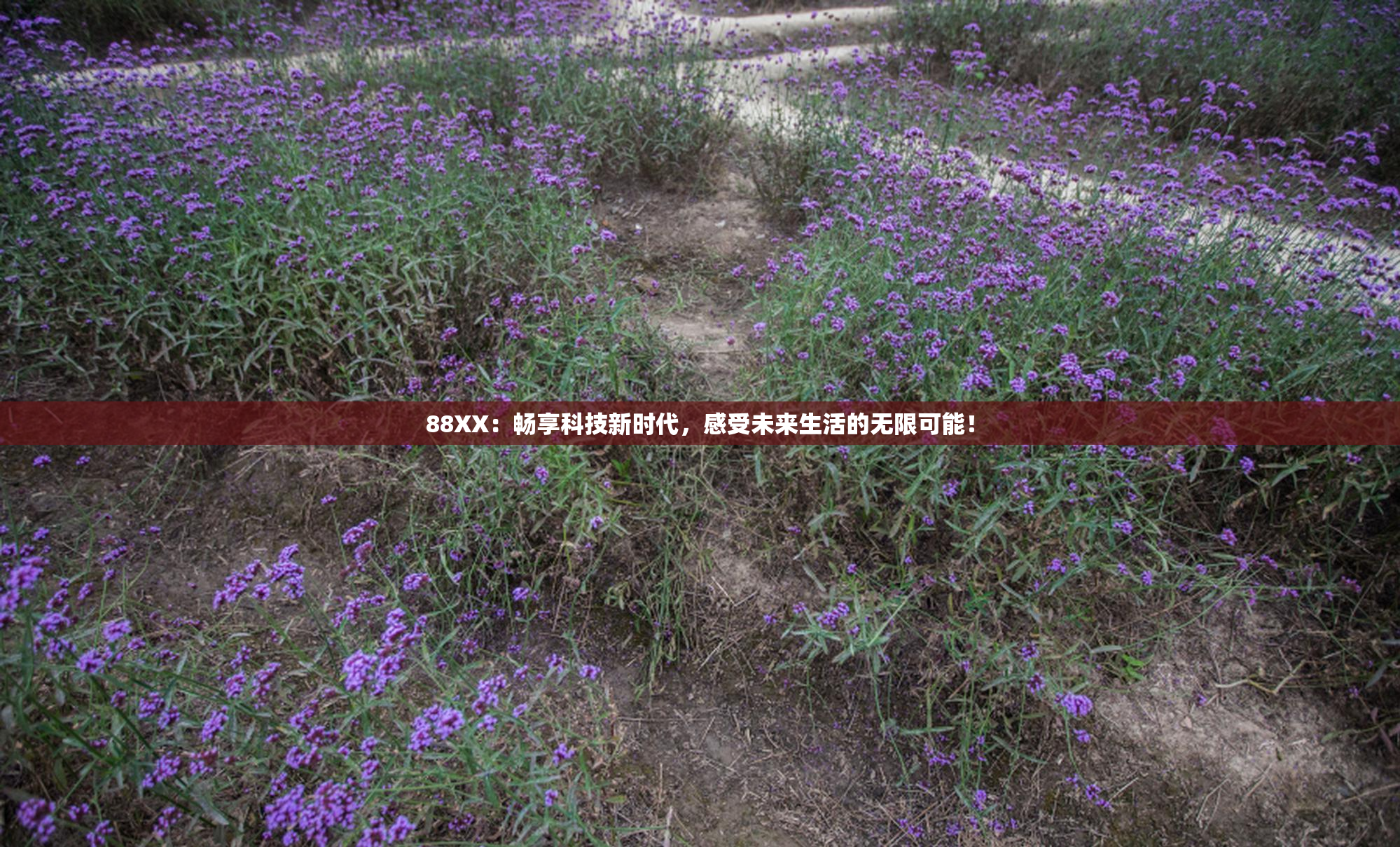 88XX：畅享科技新时代，感受未来生活的无限可能！