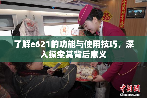 了解e621的功能与使用技巧，深入探索其背后意义