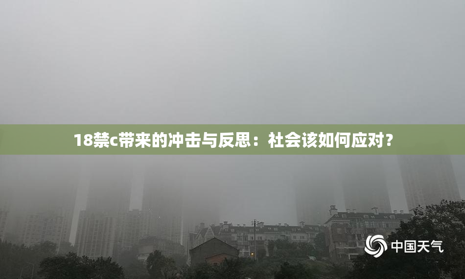 18禁c带来的冲击与反思：社会该如何应对？