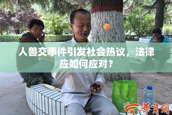 人兽交事件引发社会热议，法律应如何应对？