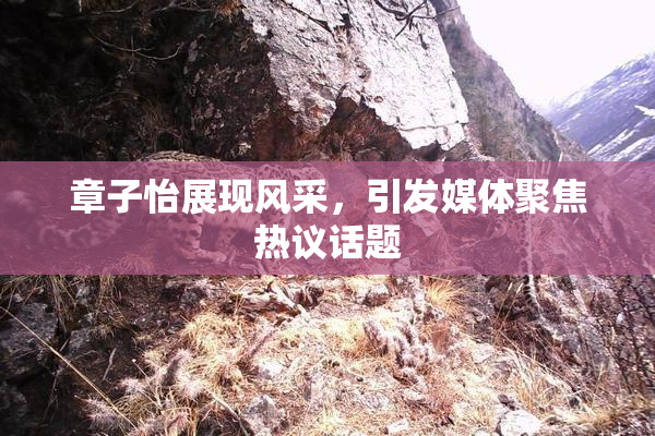 章子怡展现风采，引发媒体聚焦热议话题