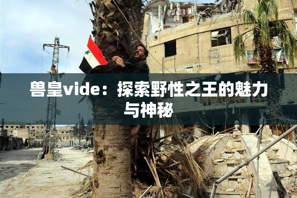 兽皇vide：探索野性之王的魅力与神秘