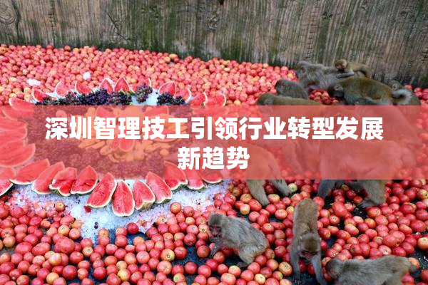深圳智理技工引领行业转型发展新趋势