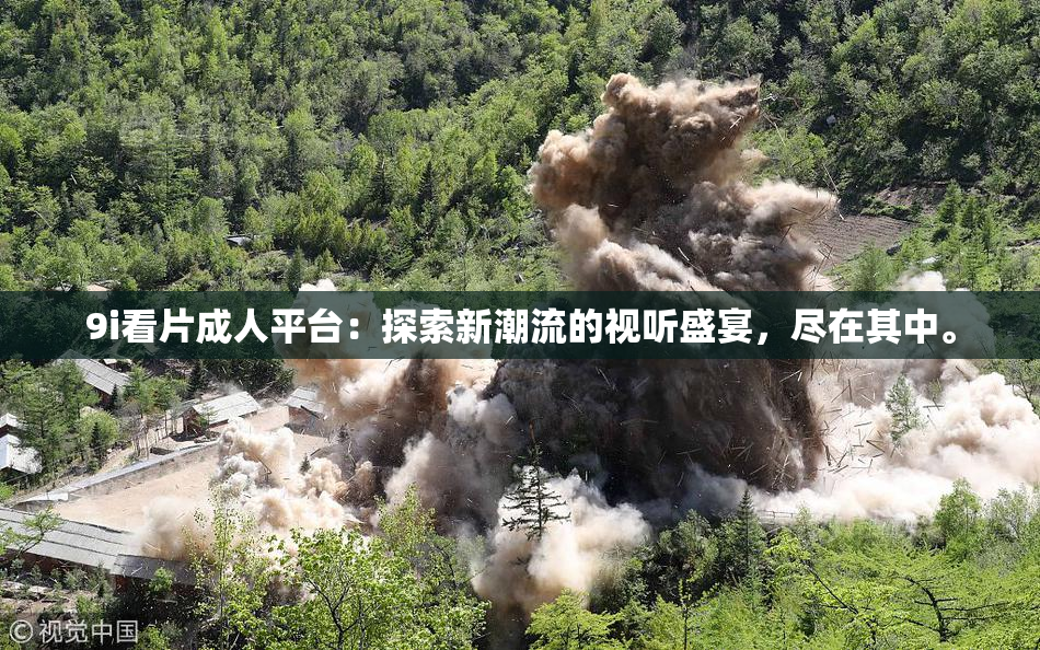 9i看片成人平台：探索新潮流的视听盛宴，尽在其中。
