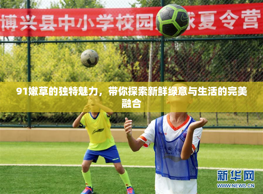 91嫩草的独特魅力，带你探索新鲜绿意与生活的完美融合