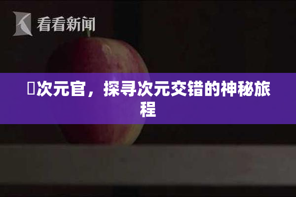 囧次元官，探寻次元交错的神秘旅程