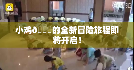 小鸡🐔的全新冒险旅程即将开启！