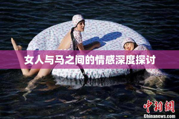 女人与马之间的情感深度探讨