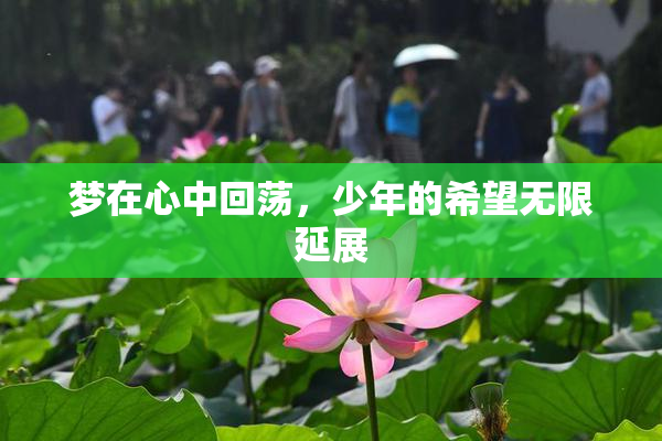 梦在心中回荡，少年的希望无限延展