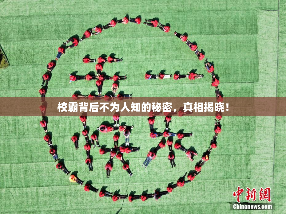 校霸背后不为人知的秘密，真相揭晓！