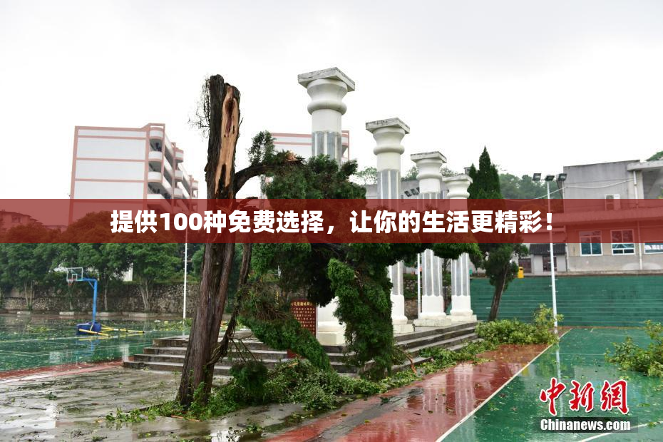 提供100种免费选择，让你的生活更精彩！