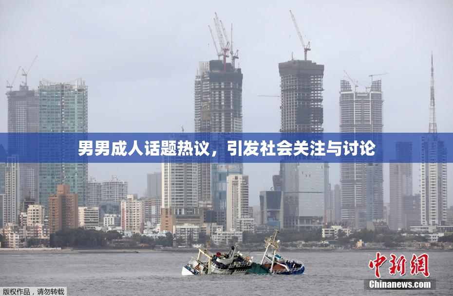男男成人话题热议，引发社会关注与讨论
