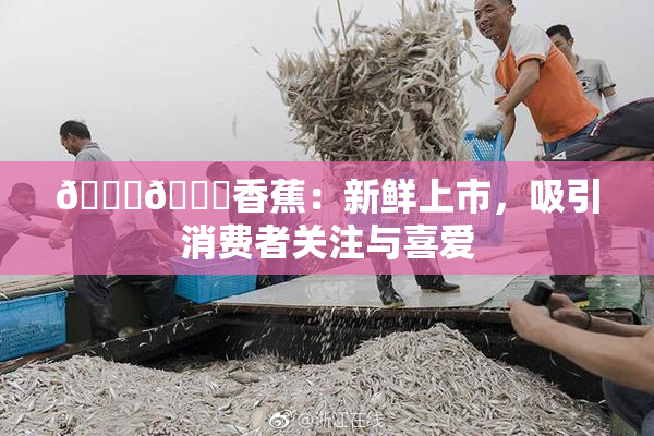 🔞🔞香蕉：新鲜上市，吸引消费者关注与喜爱