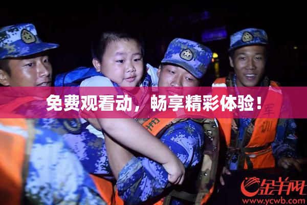 免费观看动，畅享精彩体验！