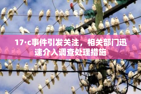 17·c事件引发关注，相关部门迅速介入调查处理措施