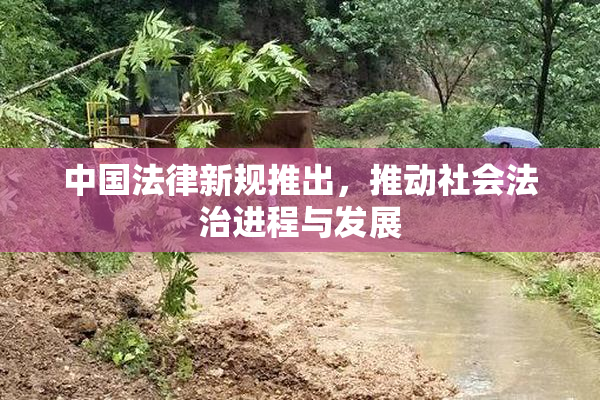 中国法律新规推出，推动社会法治进程与发展