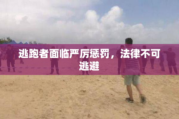 逃跑者面临严厉惩罚，法律不可逃避