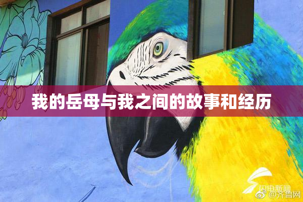 我的岳母与我之间的故事和经历
