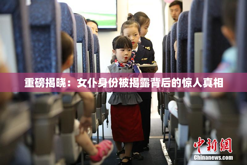 重磅揭晓：女仆身份被揭露背后的惊人真相