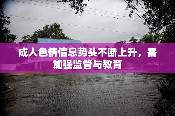 成人色情信息势头不断上升，需加强监管与教育