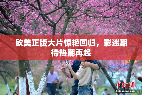 欧美正版大片惊艳回归，影迷期待热潮再起