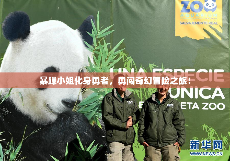 暴躁小姐化身勇者，勇闯奇幻冒险之旅！