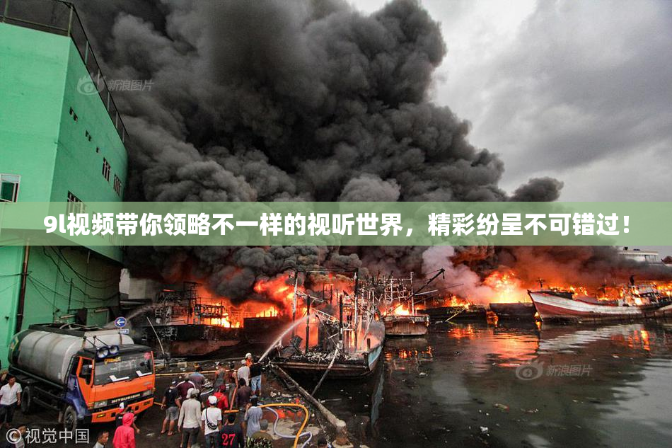 9l视频带你领略不一样的视听世界，精彩纷呈不可错过！
