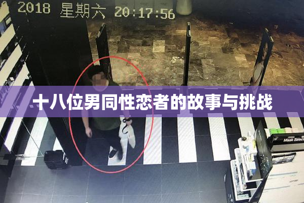 十八位男同性恋者的故事与挑战