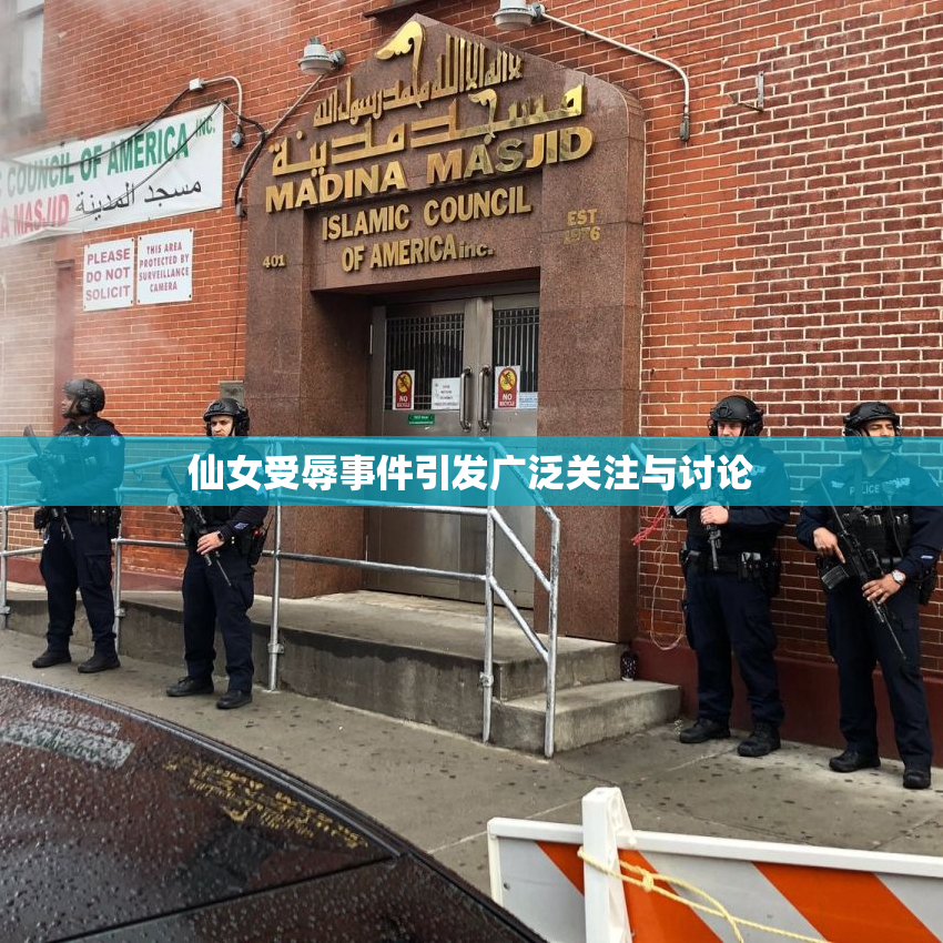 仙女受辱事件引发广泛关注与讨论