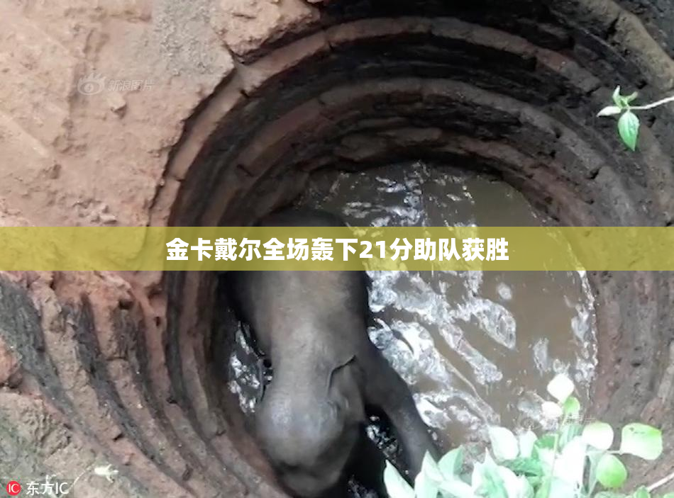 金卡戴尔全场轰下21分助队获胜
