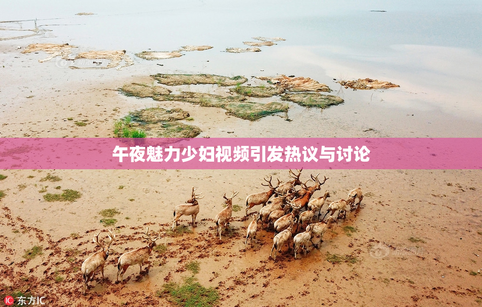 午夜魅力少妇视频引发热议与讨论