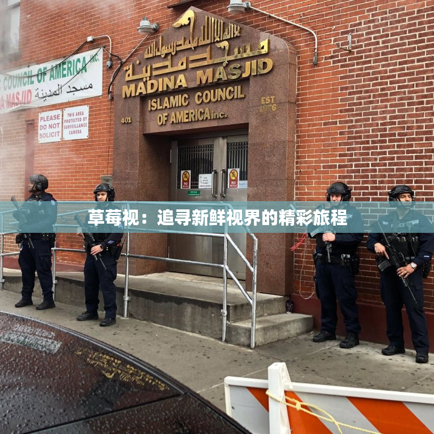 草莓视：追寻新鲜视界的精彩旅程
