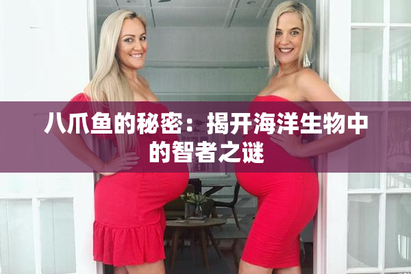 八爪鱼的秘密：揭开海洋生物中的智者之谜