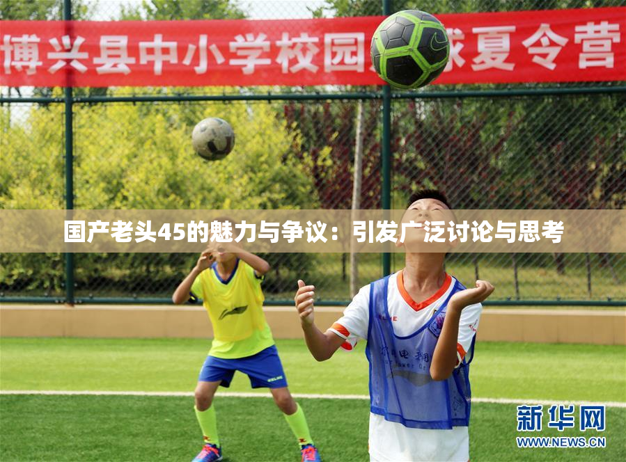 国产老头45的魅力与争议：引发广泛讨论与思考