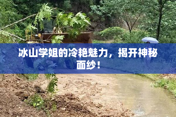 冰山学姐的冷艳魅力，揭开神秘面纱！
