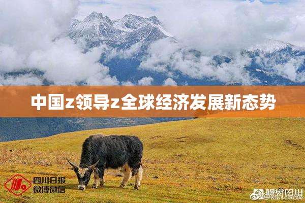 中国z领导z全球经济发展新态势