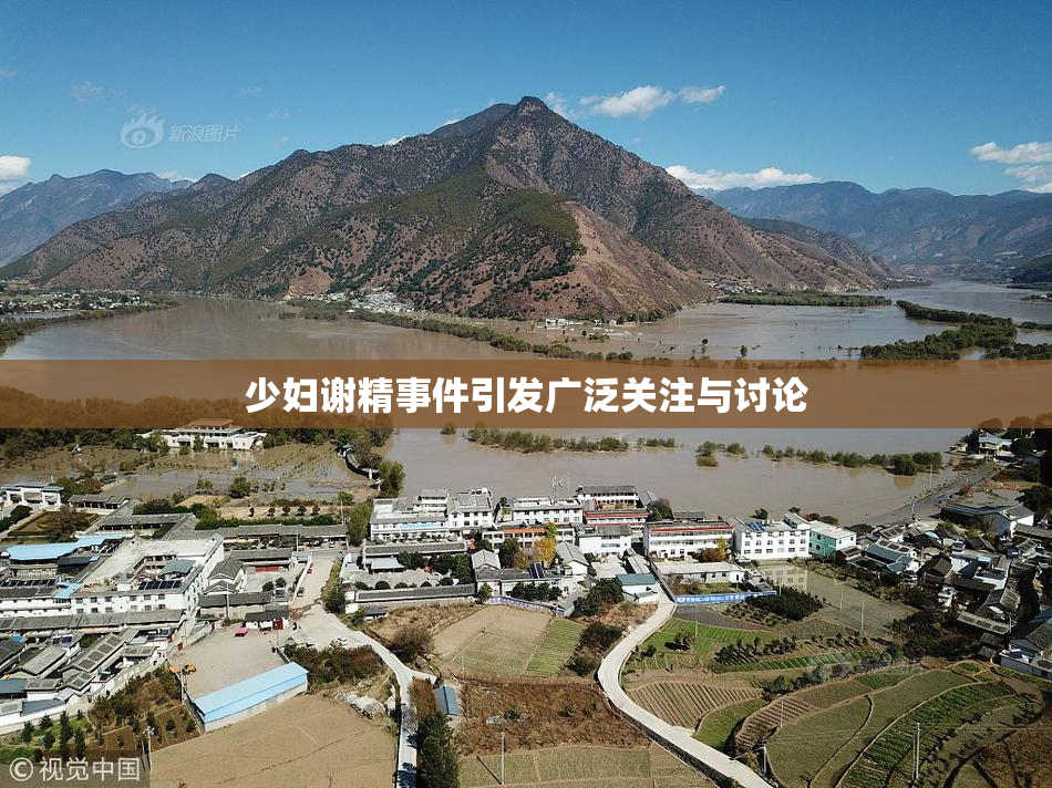 少妇谢精事件引发广泛关注与讨论