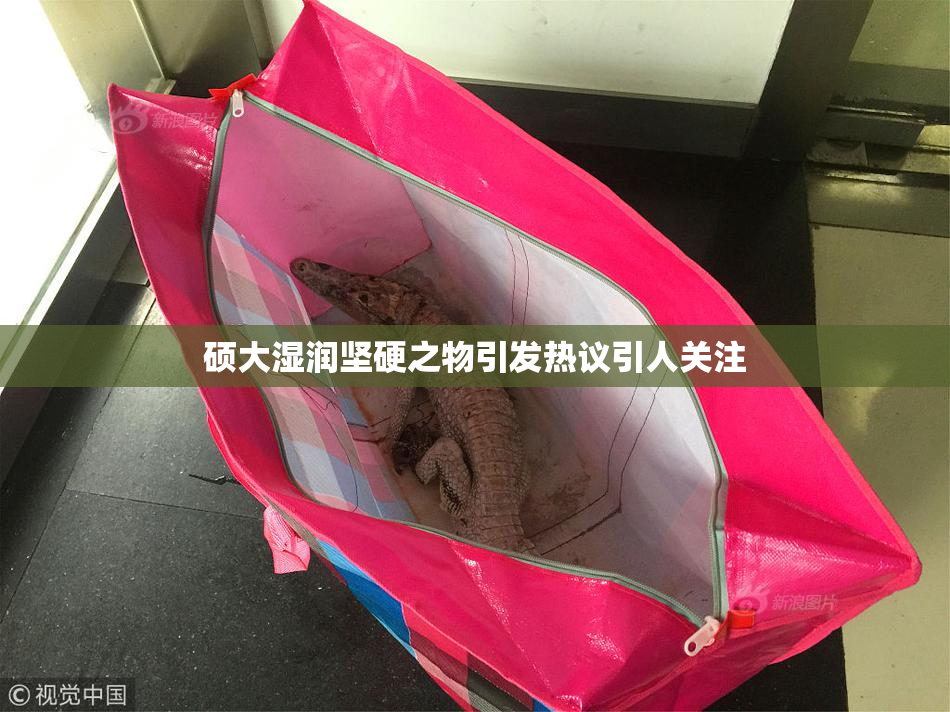 硕大湿润坚硬之物引发热议引人关注