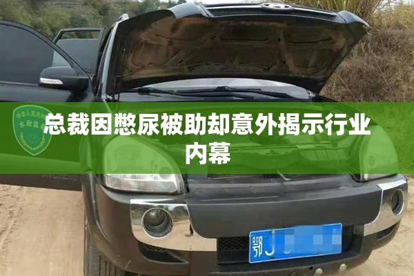 总裁因憋尿被助却意外揭示行业内幕